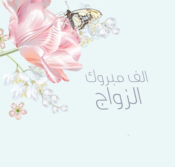 حالات نجاح